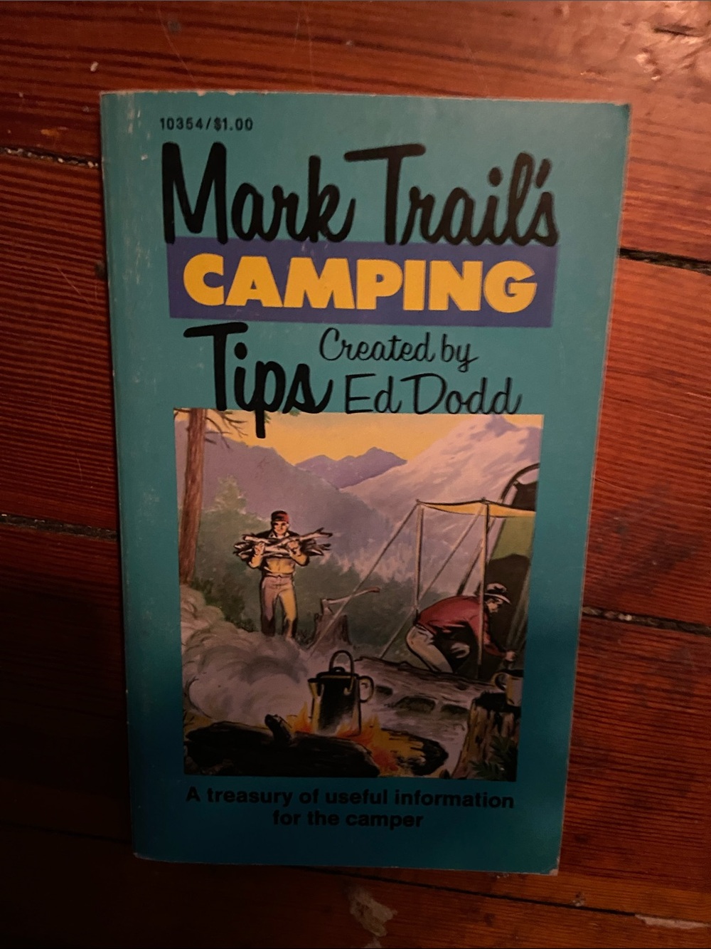 Vintage 60s 1960s Camping Tips illustrated Paperback book Camp outdoors outdoor